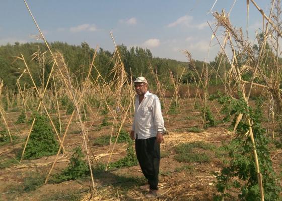 İlyas Kaya