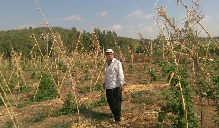 İlyas Kaya